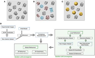 Hands on Methods for High Resolution Cryo-Electron Microscopy Structures of Heterogeneous Macromolecular Complexes